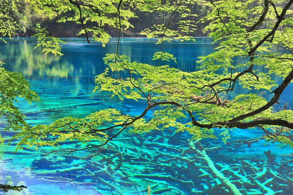 Sheraton Jiuzhaigou Resort Udogodnienia zdjęcie