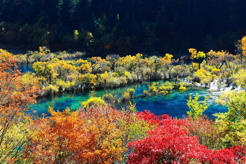 Sheraton Jiuzhaigou Resort Udogodnienia zdjęcie